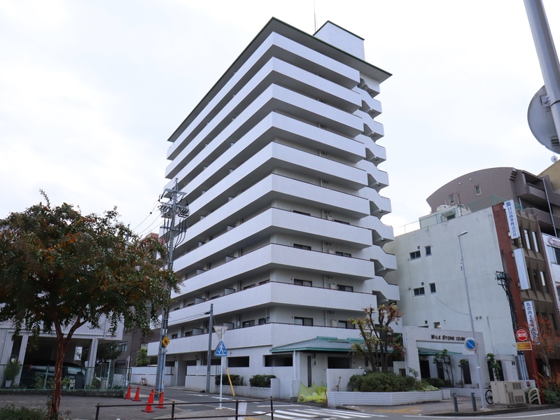 マイルストーン泉