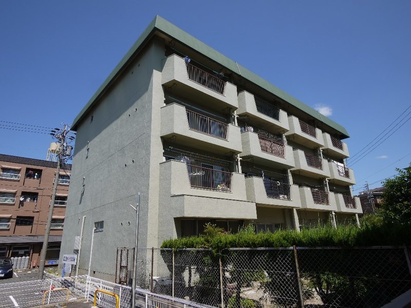 桜と暮らす、檀渓通のリノベーションレジデンス