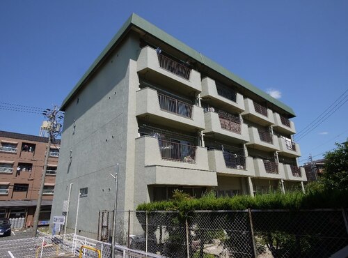 桜と暮らす、檀渓通のリノベーションライフ